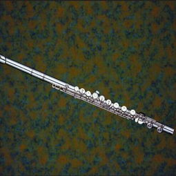 爾文樂器加盟全解析 條件、費用與聯系方式