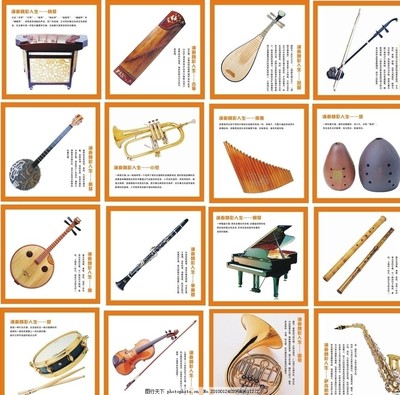 世界樂器博覽 揚琴、古箏、小號與琵琶的藝術魅力